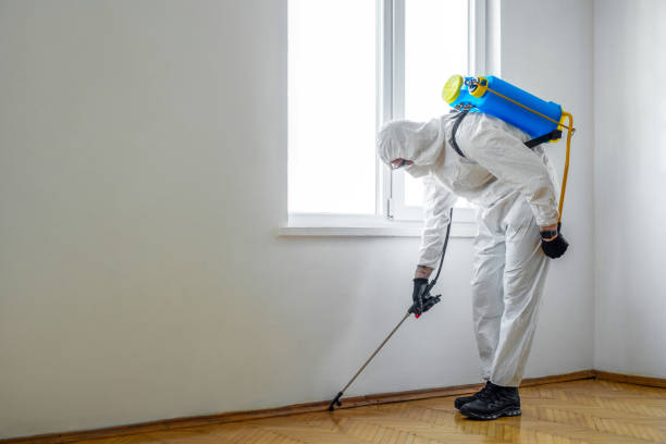 Best Indoor Pest Control  in Roseburg, OR